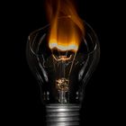 Burning Bulb