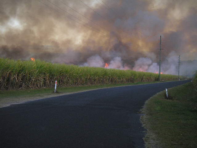 Burning Cane