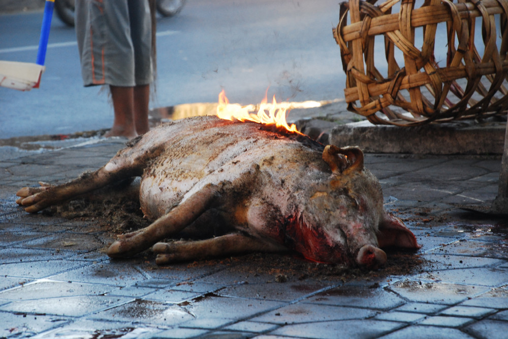 burning down DER Schwein - streetscene indonesia