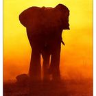 Burning Elephant - reloaded -