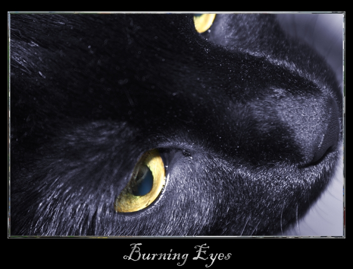 Burning Eyes