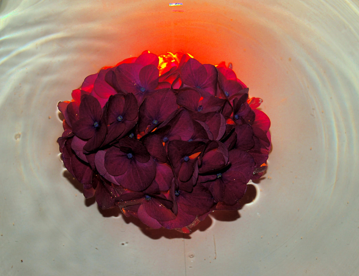 Burning Flower