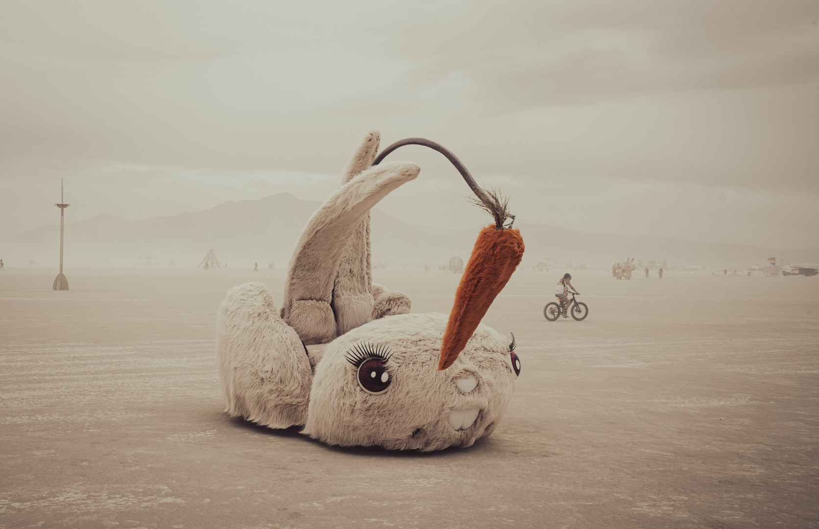 Burning Man Festival - Rabbit in the Desert