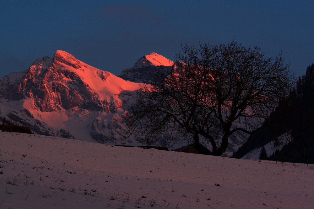 Burning Mountains