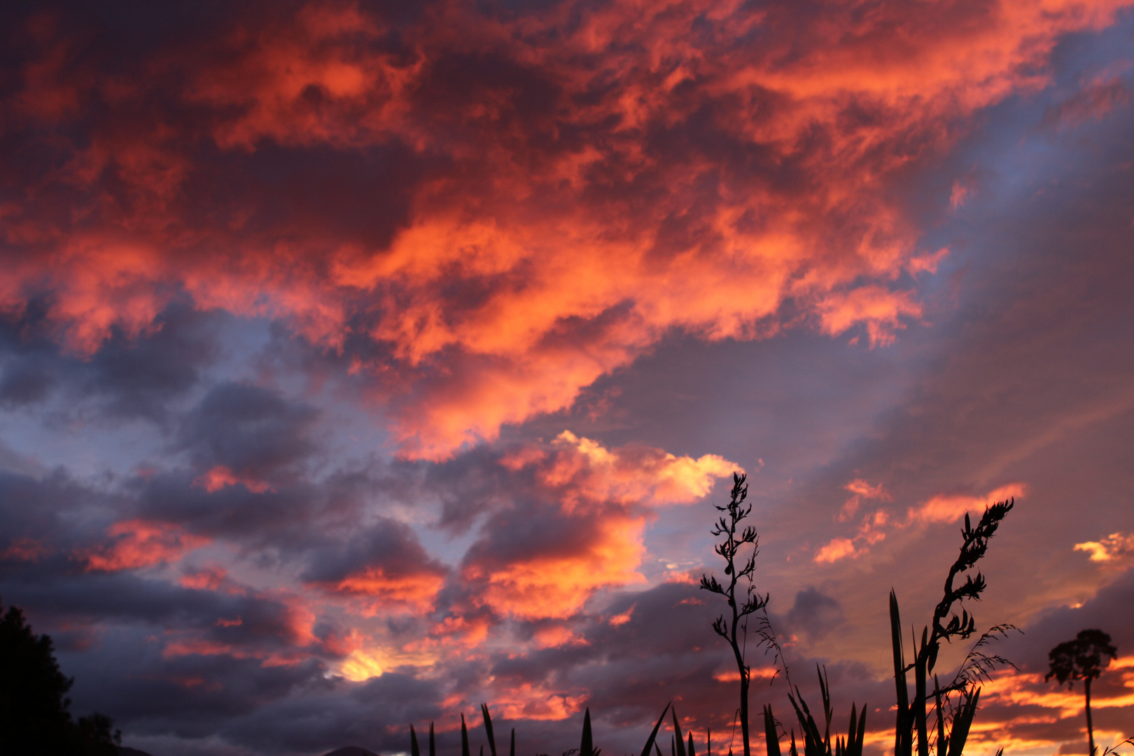 "Burning Sky" at Jackson Bay, NZ