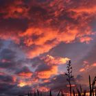 "Burning Sky" at Jackson Bay, NZ