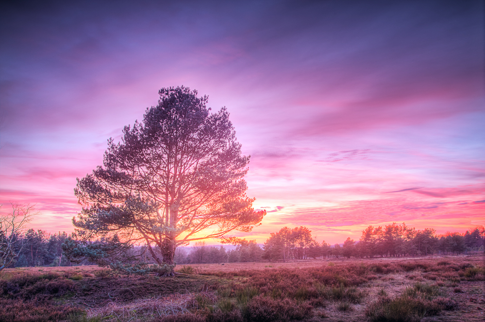 Burning Sunset