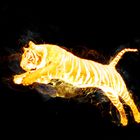 Burning Tiger