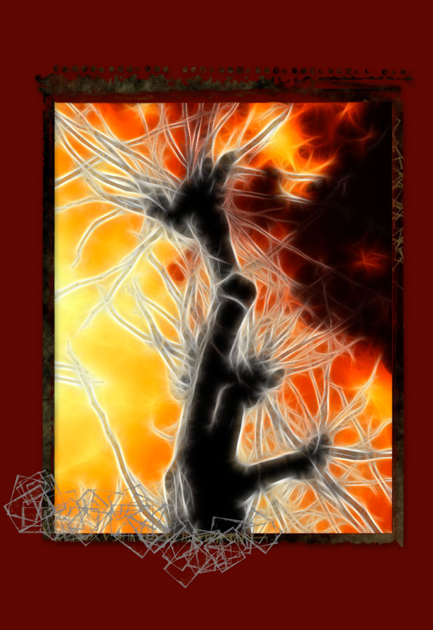 Burning Tree