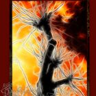 Burning Tree