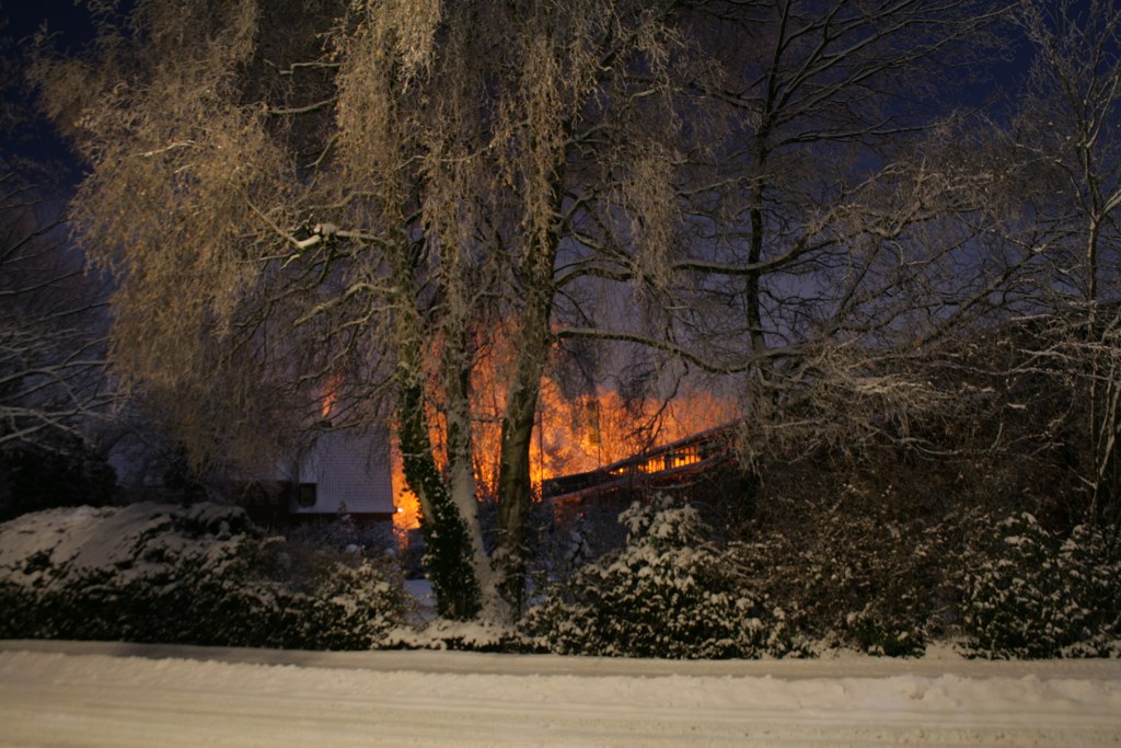 Burning Winter Tree