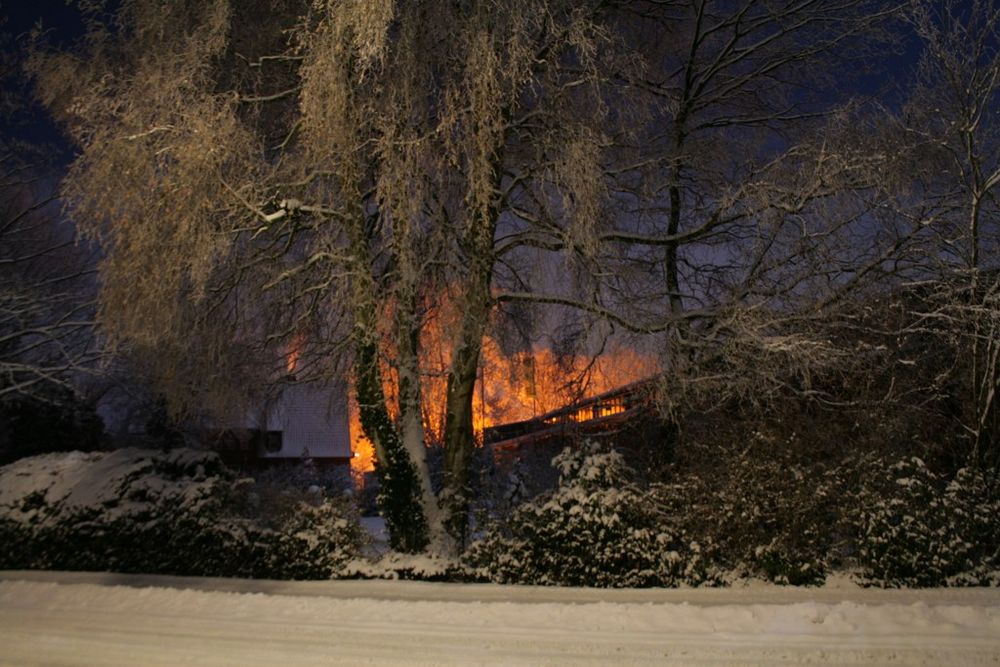 Burning Winter Tree