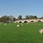 Burnsall