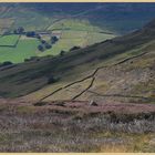 burnt heather in farndale