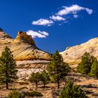 Burr Trail 1, Utah, USA