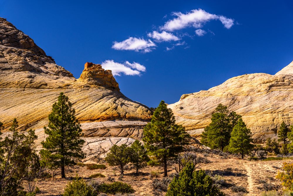 Burr Trail 1, Utah, USA