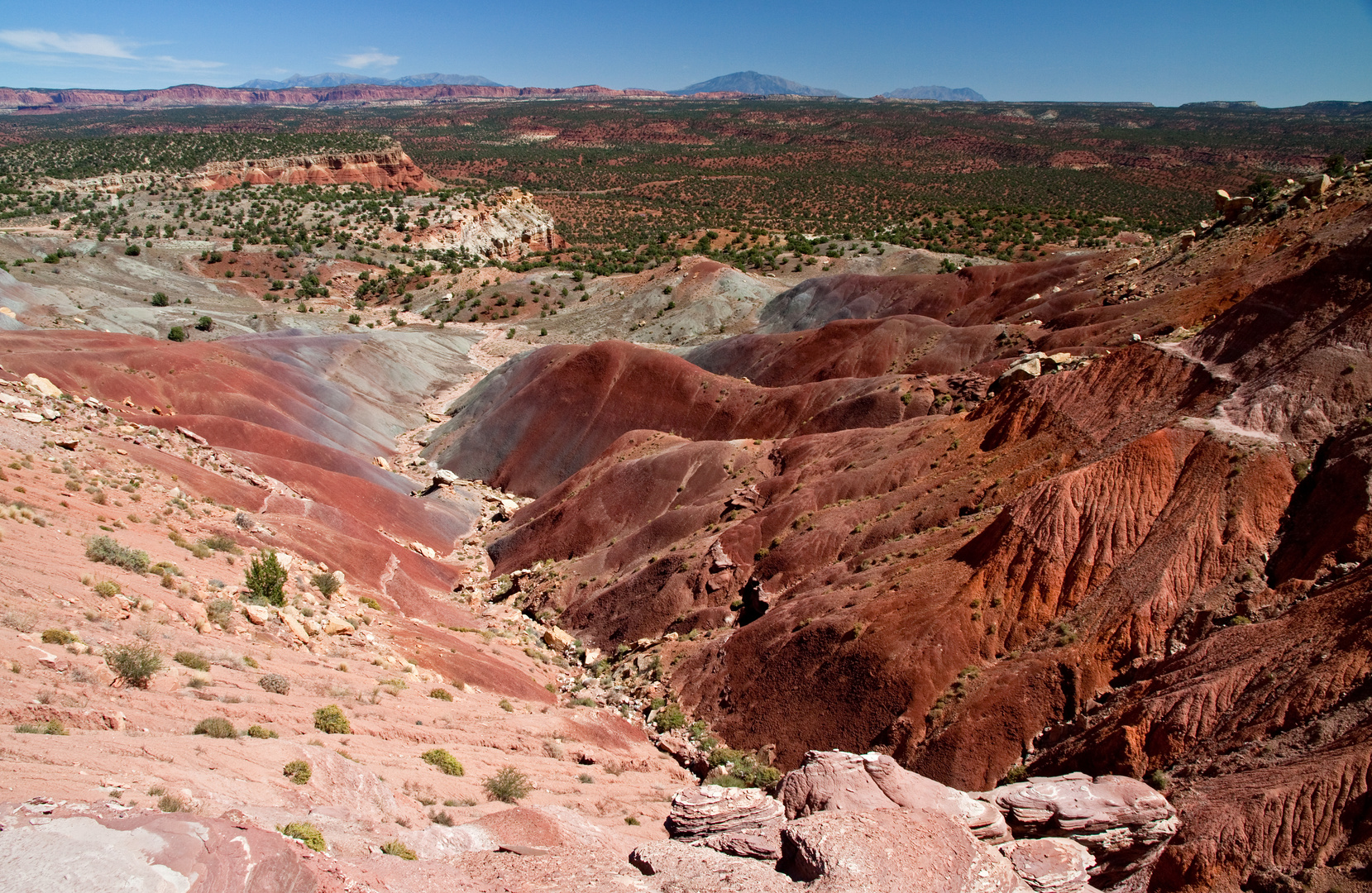 Burr Trail Colors 1