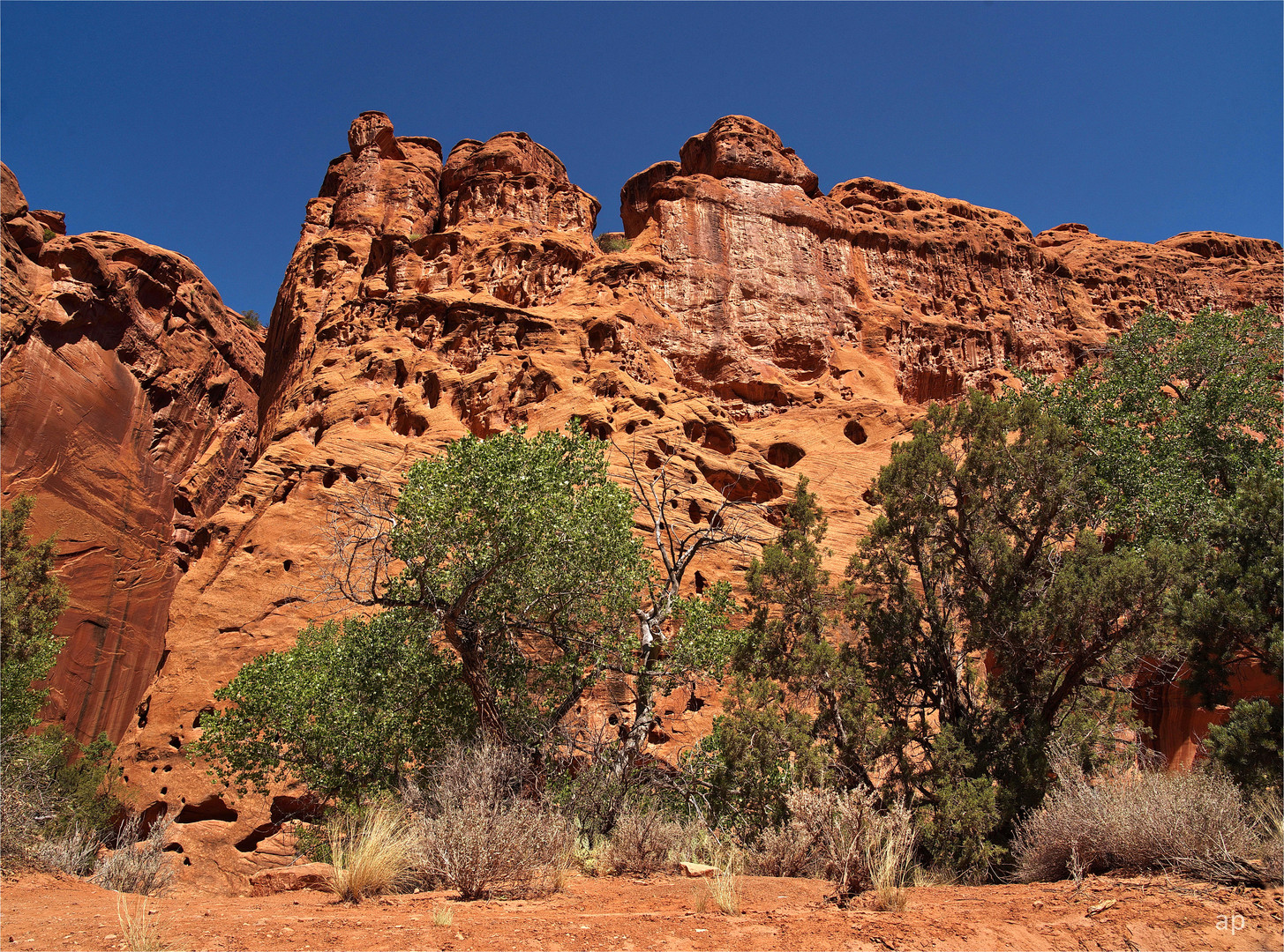 Burr Trail Road