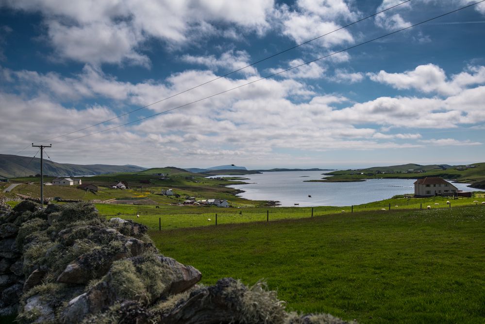 Burra Isle Shetland