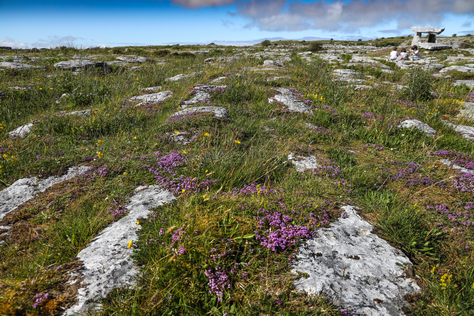 Burren 2