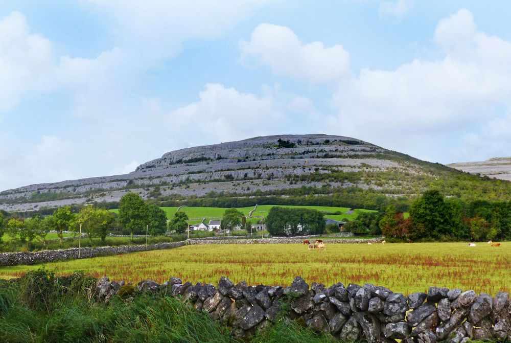 Burren