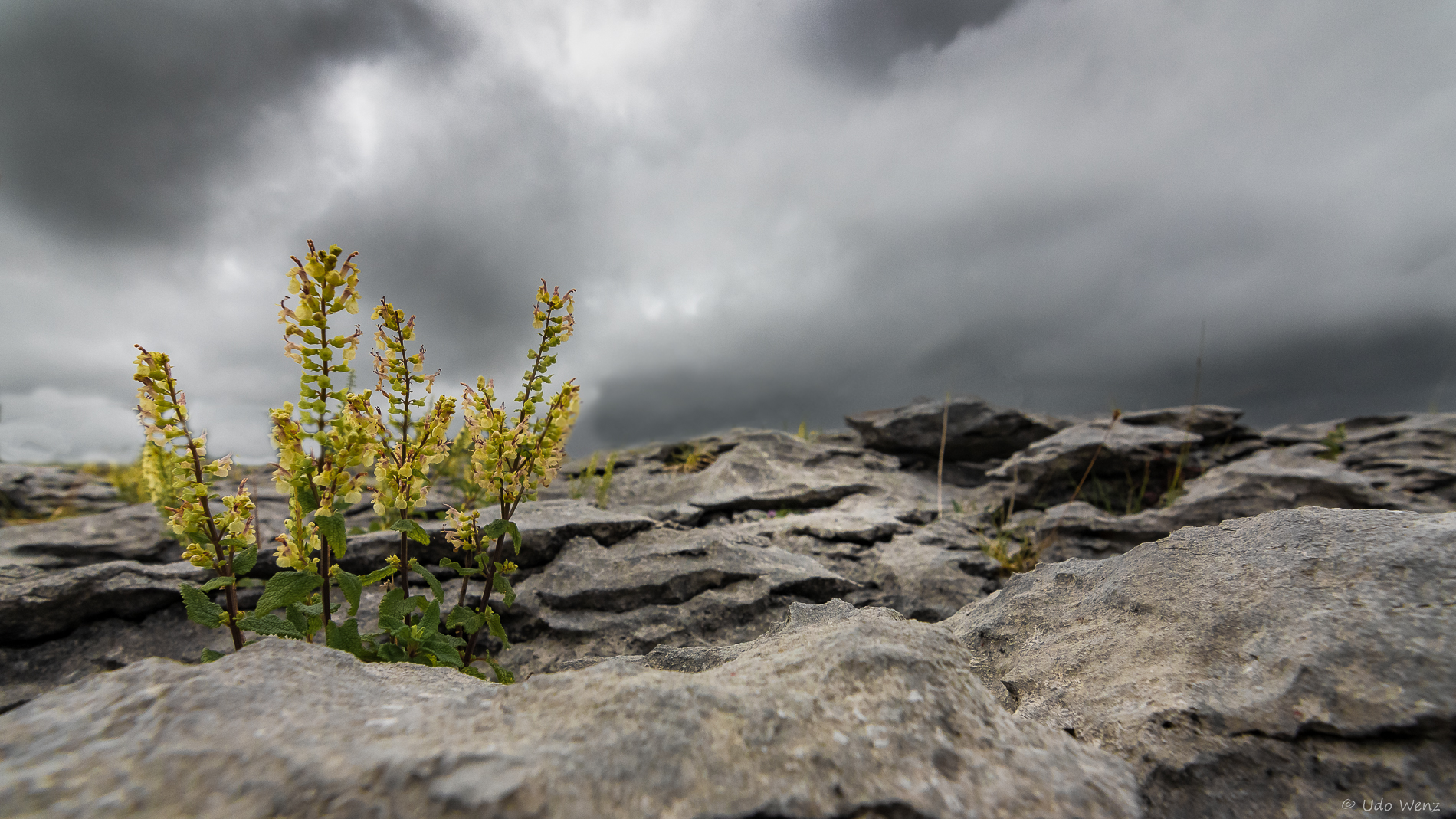 Burren 