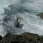 Burren Coast