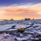 Burren - Doolin_