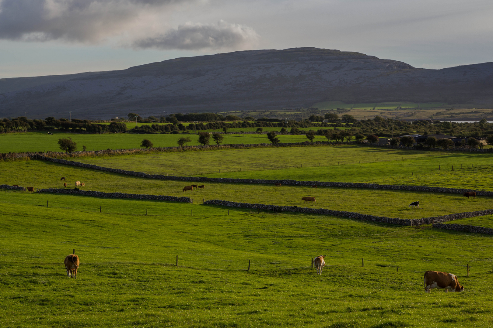 Burren