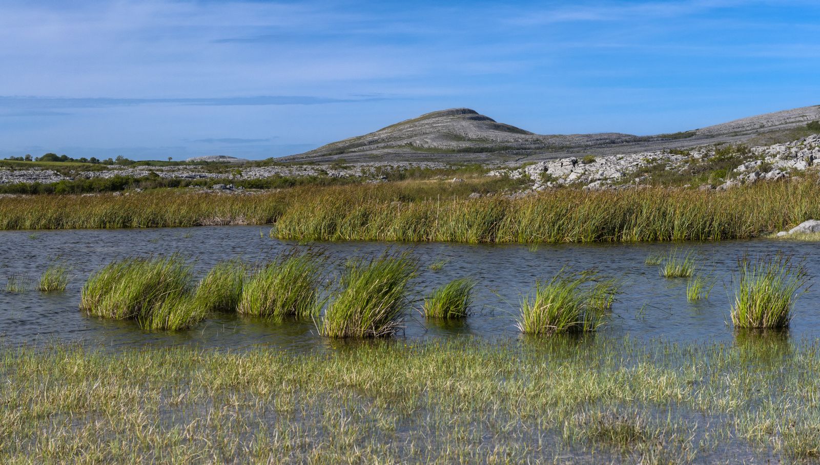 Burren