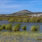 Burren