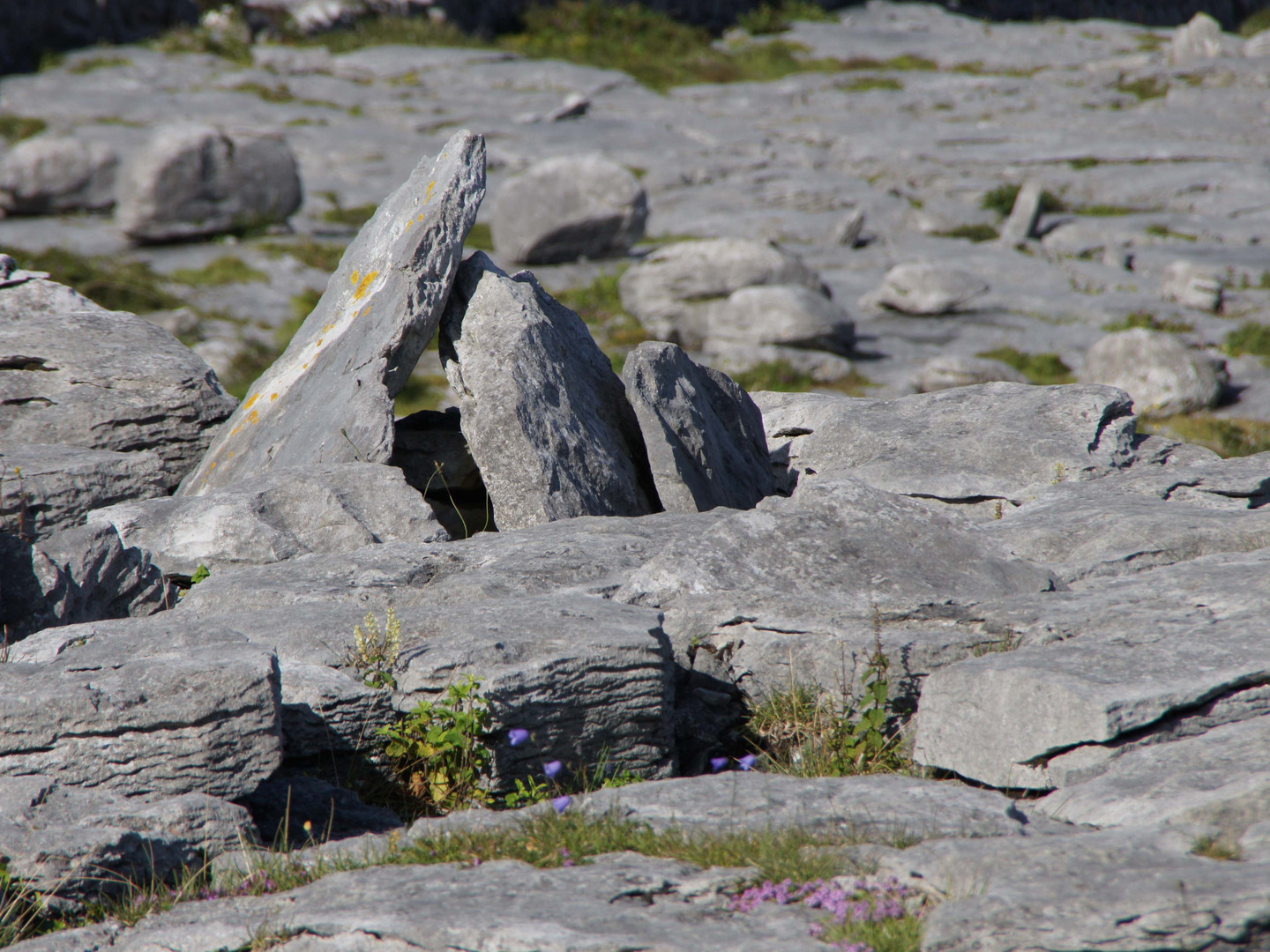 Burren in Irland