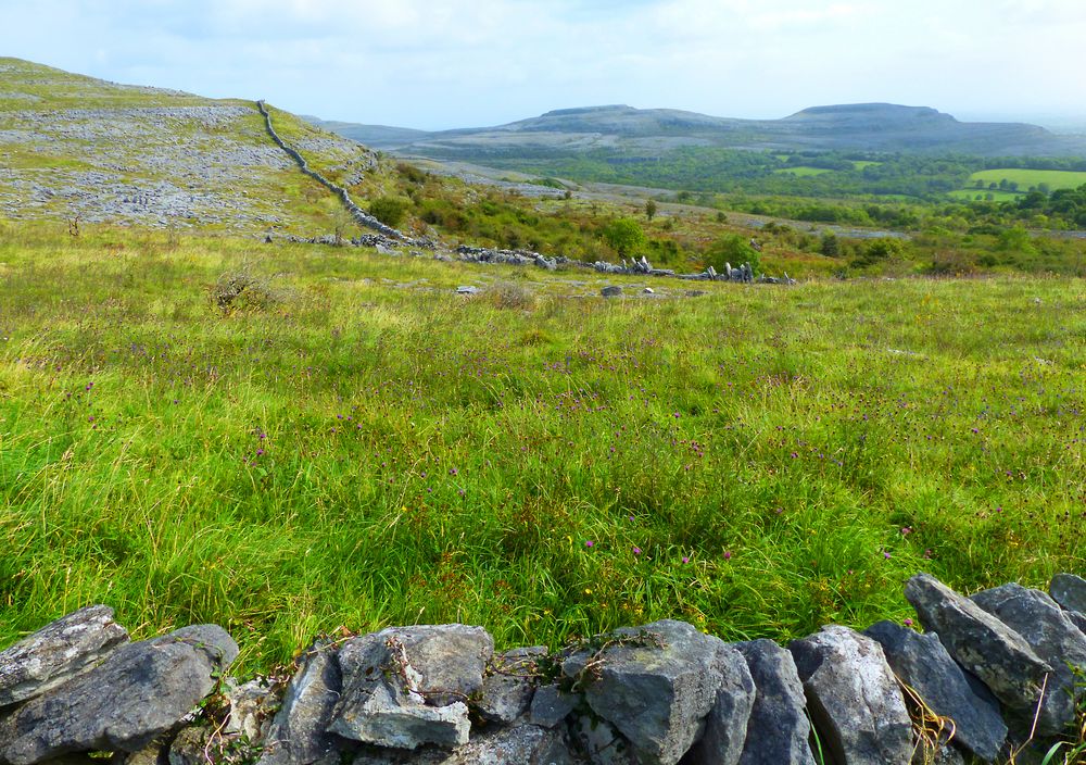 Burren Uebersicht bei Fahee North