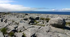 Burren V