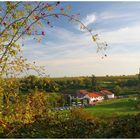 Burrweiler Mühle im Herbst