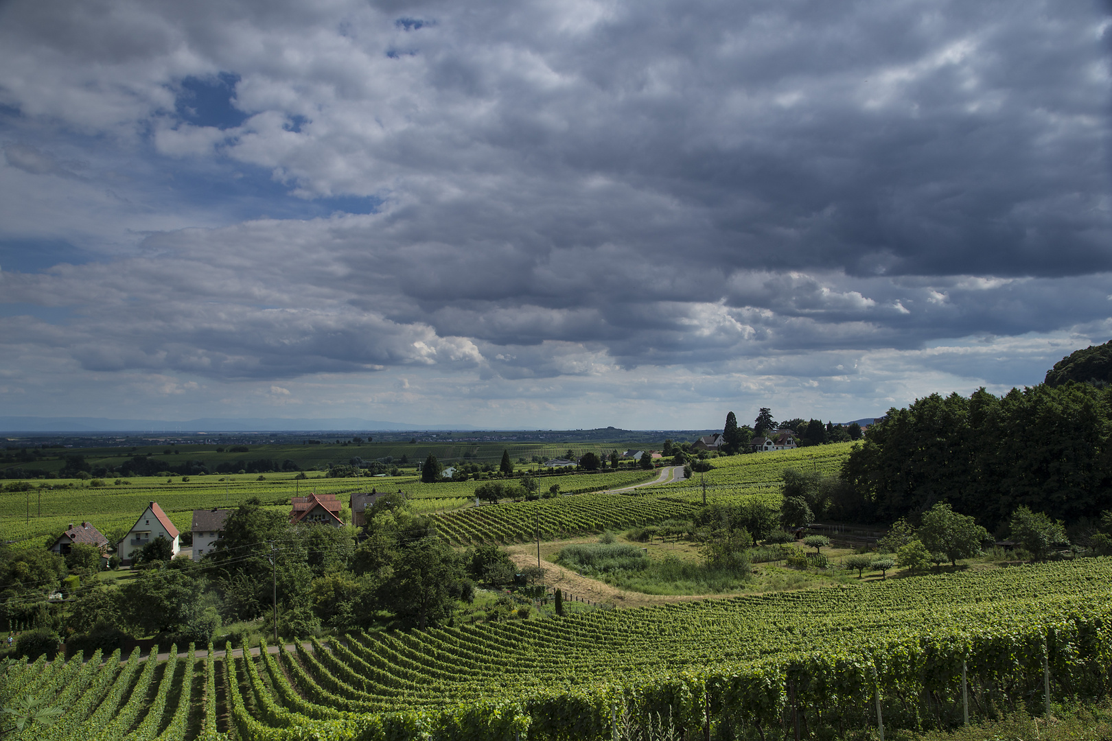 Burrweiler, Rheinland-Pfalz