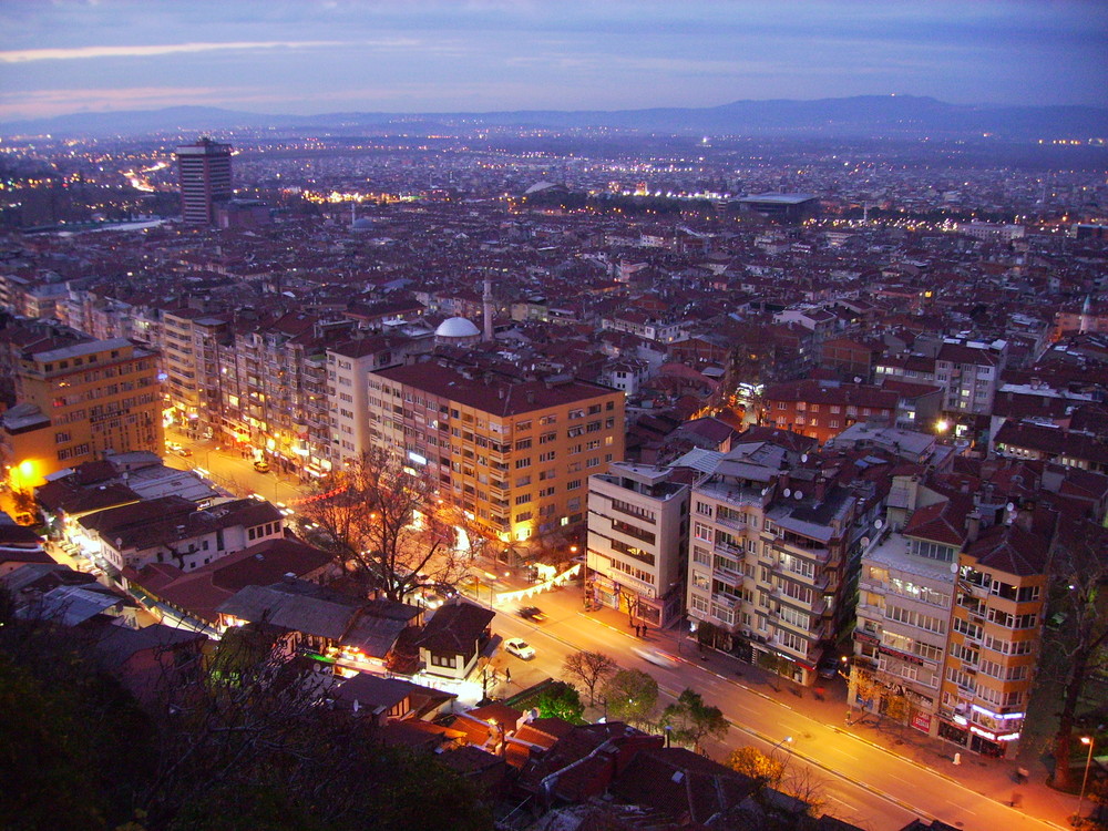 Bursa