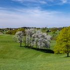 Burscheid Oberwietsche