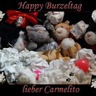 Burzelgrüße für mein Patenkaterchen Carmelito