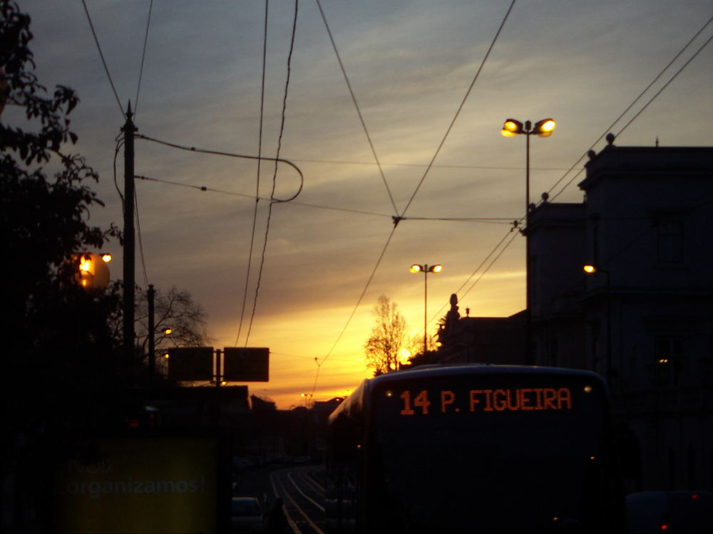Bus at sunset