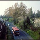 Bus & Bahngleis