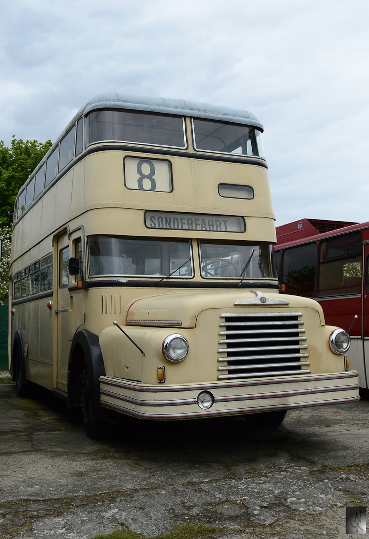 Bus     Baujahr 1956