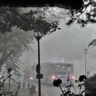 Bus-Haltestelle im Nebel