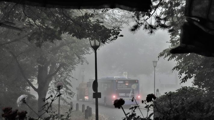 Bus-Haltestelle im Nebel