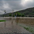 ***  Bus hat heute Verspätung ***