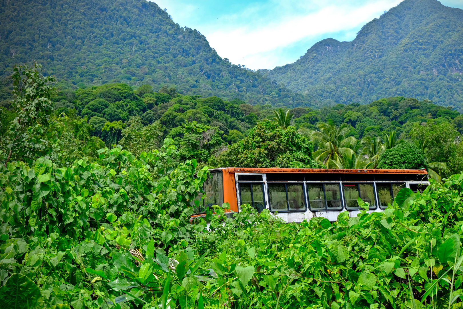 Bus im Regenwald auf Borneo in Malaysia