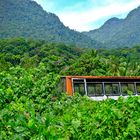 Bus im Regenwald auf Borneo in Malaysia