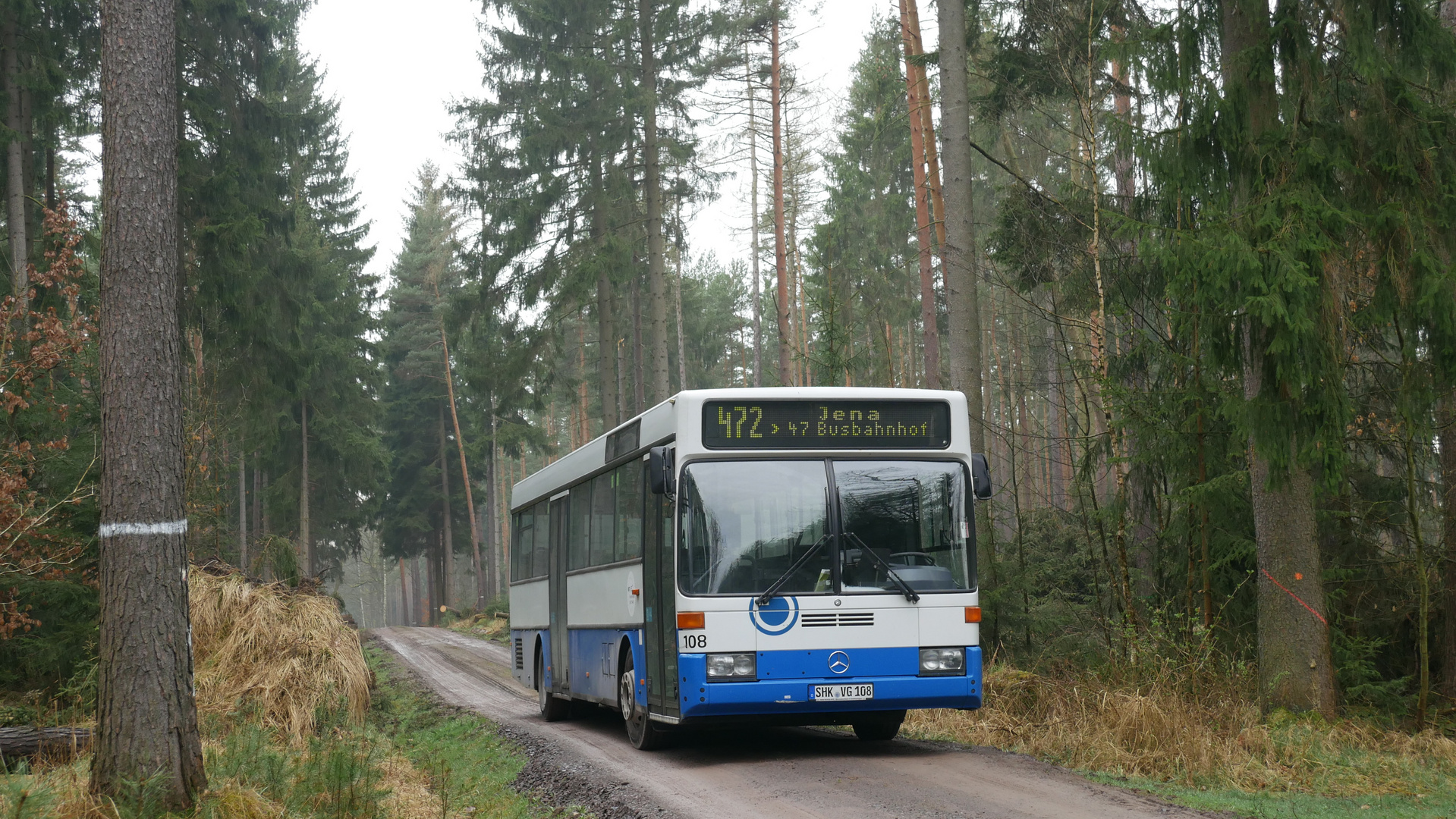 Bus im Wald