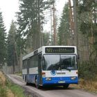 Bus im Wald