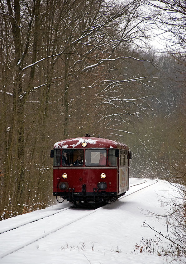 Bus im Wald